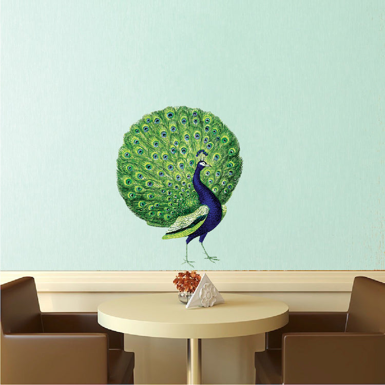 Peacock Wall Decal