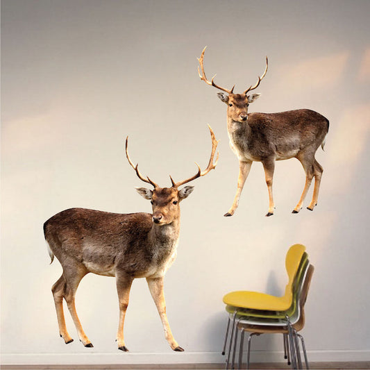 Buck Wall Decal