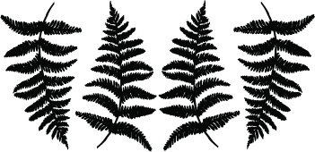 Decorative Nature Motif Wall Decal Set - view 2