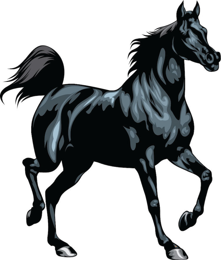 Black Horse Wall Decal
