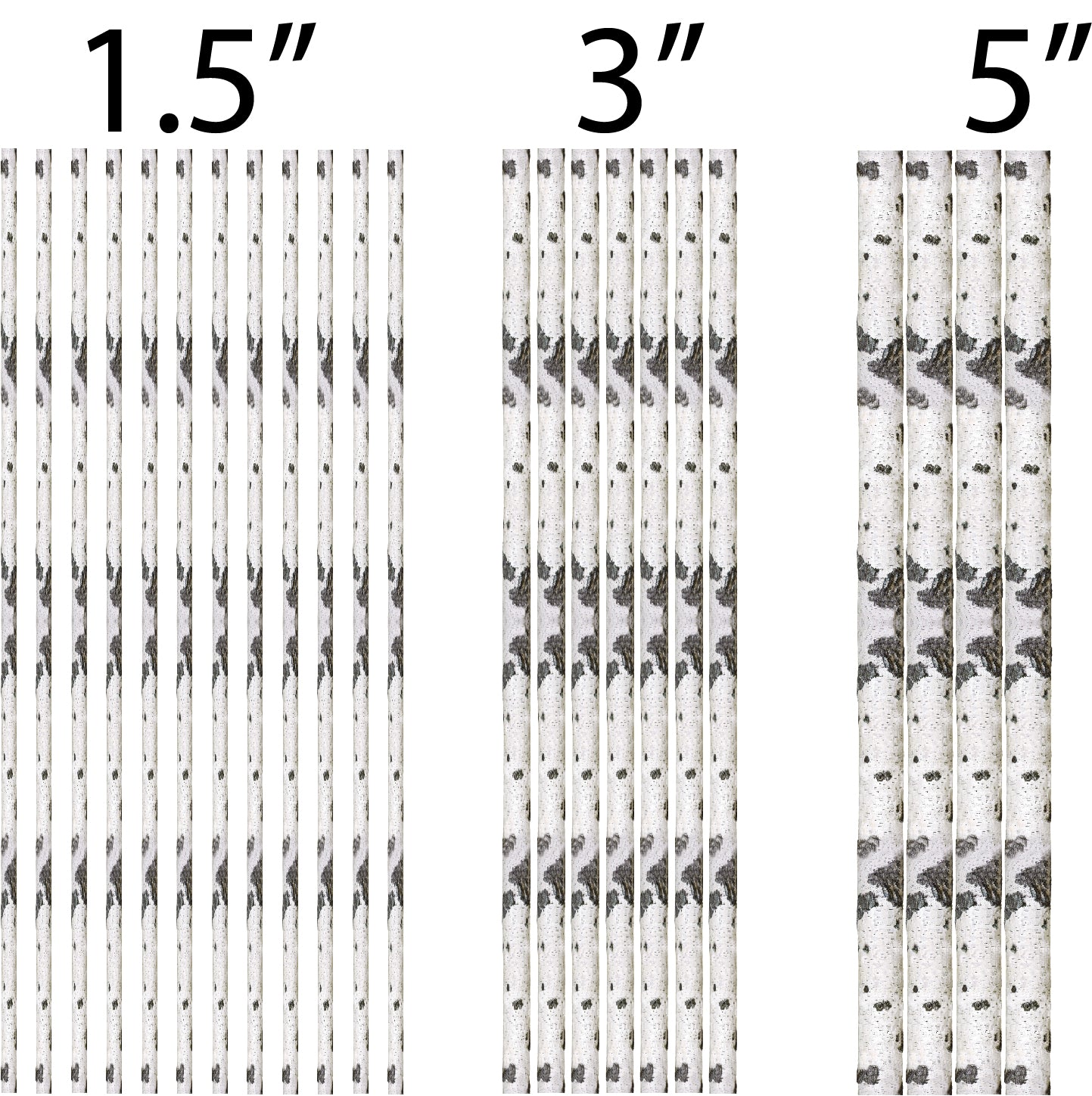 Birch Tree Wall Decal Forest Wallpaper Decor Removable Woods Wall Art for Bedroom, b95