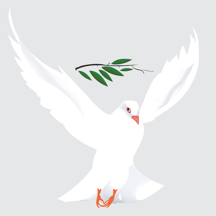 Freedom Dove Wall Sticker Decal Wall Art Flying Birds Wall Decor Olive Branch Wall Stickers, c55