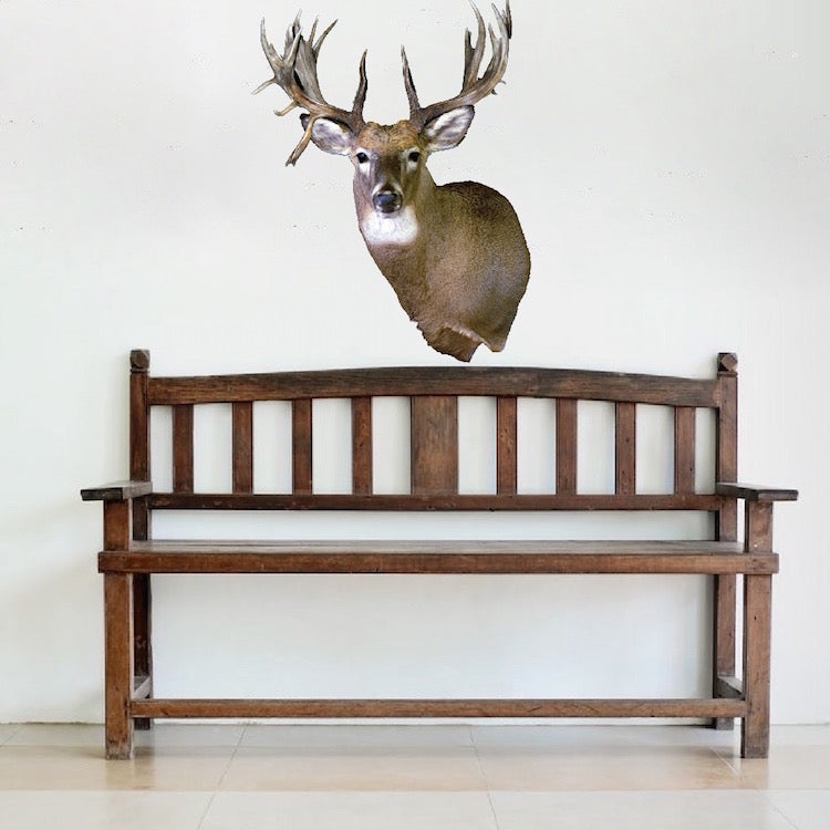 Deer Head Wall Decal Wild Animal Wildlife Wall Decor Hunting Sticker Bedroom Apartment Wall Art, c00
