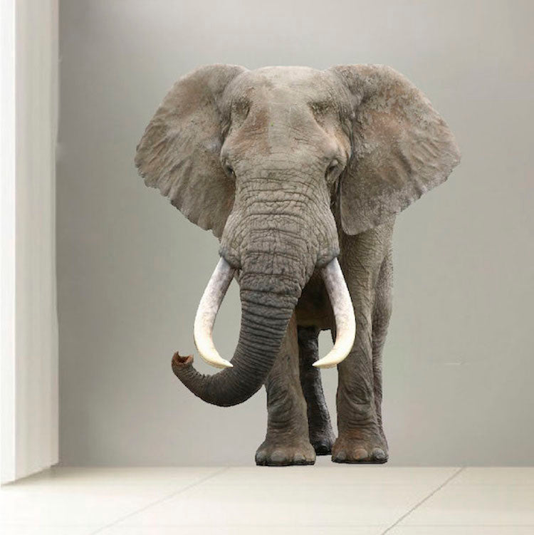 Elephant Wall Sticker Animal Wall Decor Removable Safari Wall Decal Kids Bedroom Art, c08