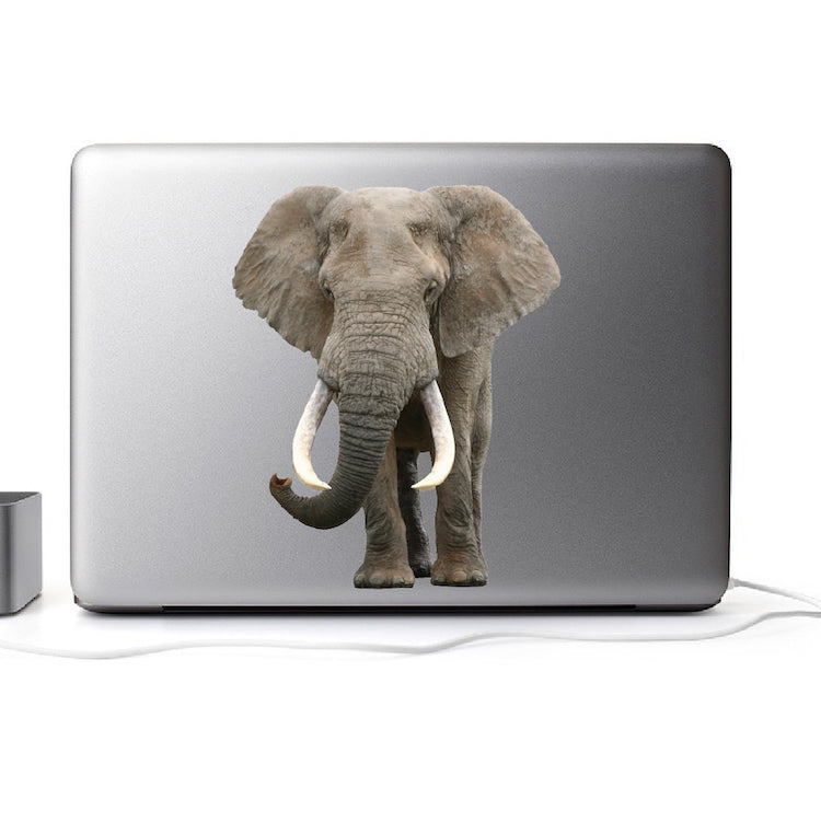 Elephant Wall Sticker Animal Wall Decor Removable Safari Wall Decal Kids Bedroom Art, c08