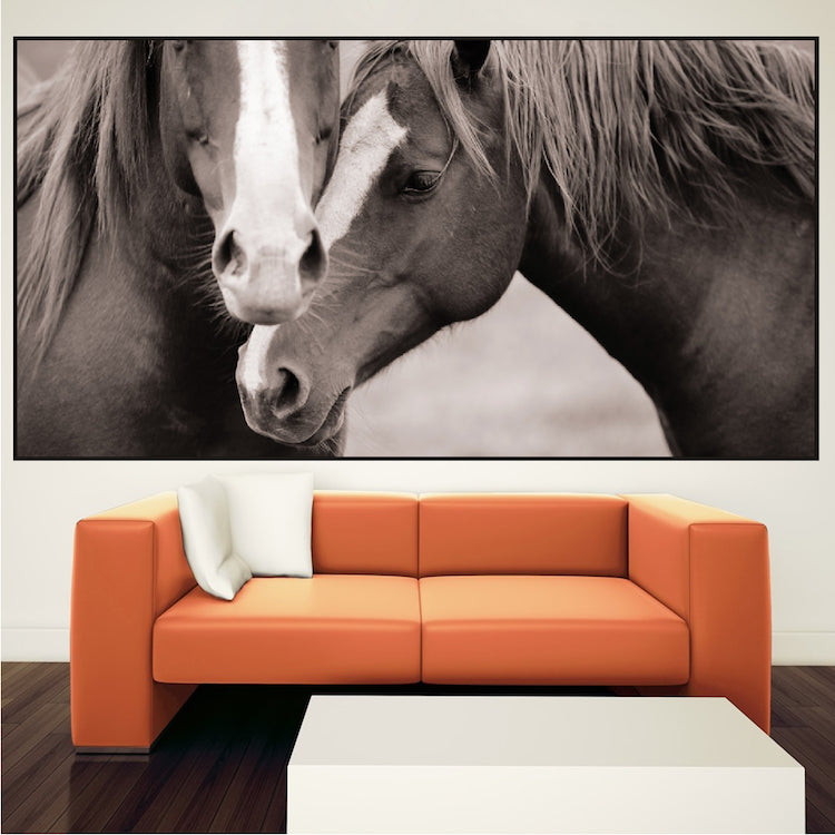 Horses Wall Decal Farm Animal Two Horse Wall Decal Mural Sticker Bedroom Apartment, c06