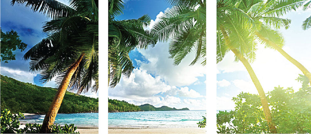 Palm Tree Wall Decal Self Adhesive Wall Mural of The Beach and Ocean, c64