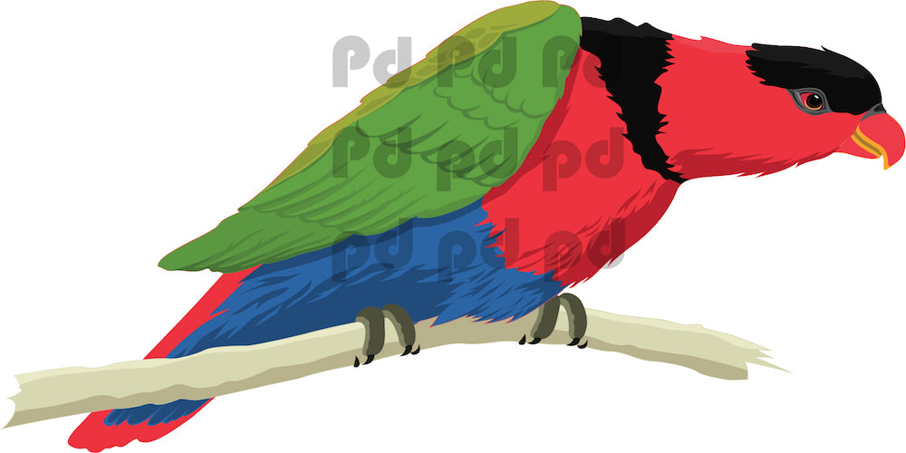 Parrot Wall Sticker Decal Art Colorful Birds of Paradise Wall Bird Decor Toucan Wall Stickers, c90