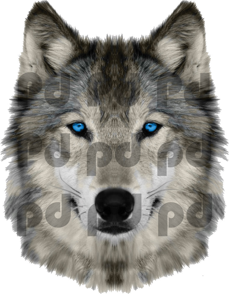 Wolf Head Wall Decal Wild Animal Wall Decor Mural Sticker Bedroom Apartment Wall Art, c02