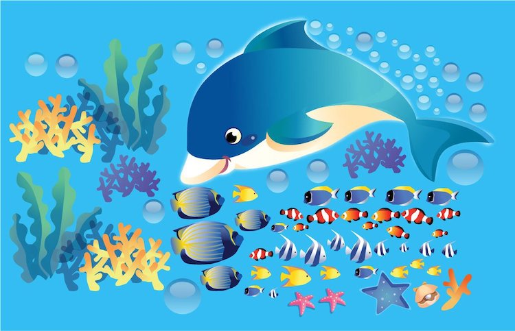 Ocean Wall Decals Fish Stickers for Office Walls Removable Dolphin Wall and Window Decals, n07