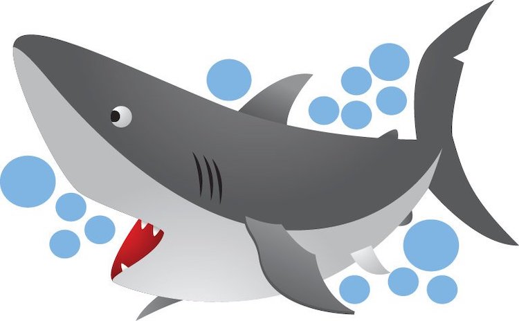 Kids Shark Room Wall Decal Sea Life Mural Ocean Animal Removable Bubbles Decor Wall Sticker, c32
