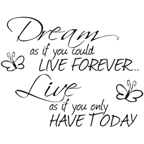 Dream as If You Could Live Forever Wall Quote Decal - view 2