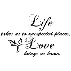 Life Takes Us to Unexpected Places Wall Decal