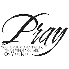 Pray You Will Never Stand Taller Wall Quote Decal - view 2
