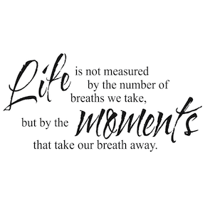 Life Is Not Measured by the Number of Breaths Wall Quote Decal - view 2