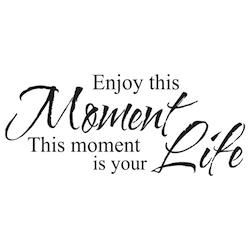 Enjoy This Moment This Moment Is Your Life Wall Quote Decal - view 2