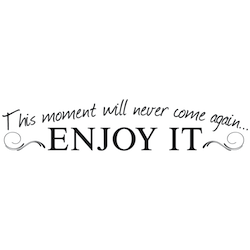This Moment May Never Come Again Wall Quote Decal - view 2