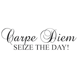Seize the Day Wall Quote Decal - view 2