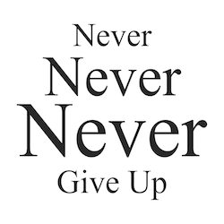 Never Never Never Give Up Wall Quote Decal - view 3
