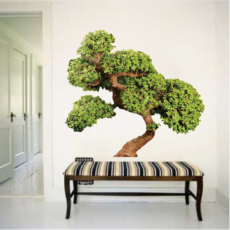 Bonsai Tree Decal