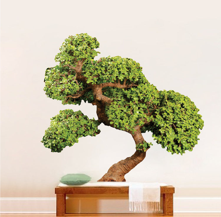 Bonsai Tree Decal