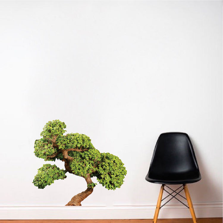 Bonsai Tree Decal