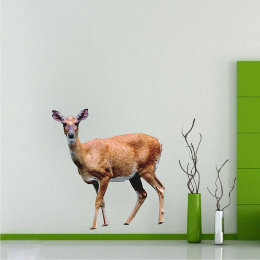 Deer Wildlife Decal