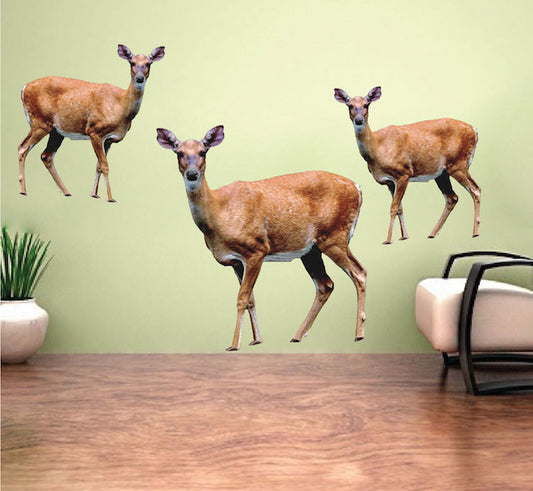 Deer Wildlife Decal