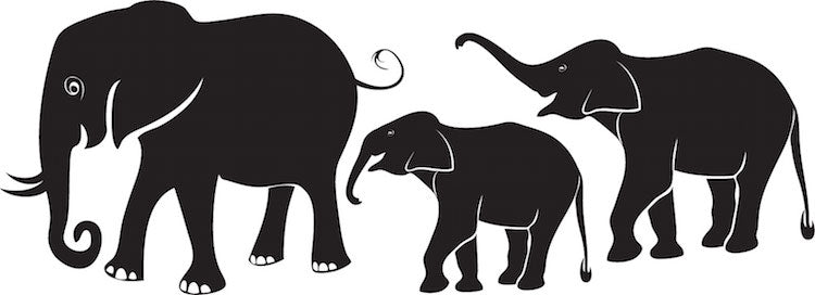 Elephant Wall Decal Set - view 3