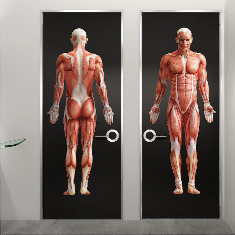 Human Body Wall Decal