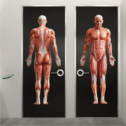 Human Body Wall Decal