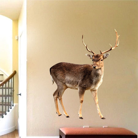 Buck Wall Decal
