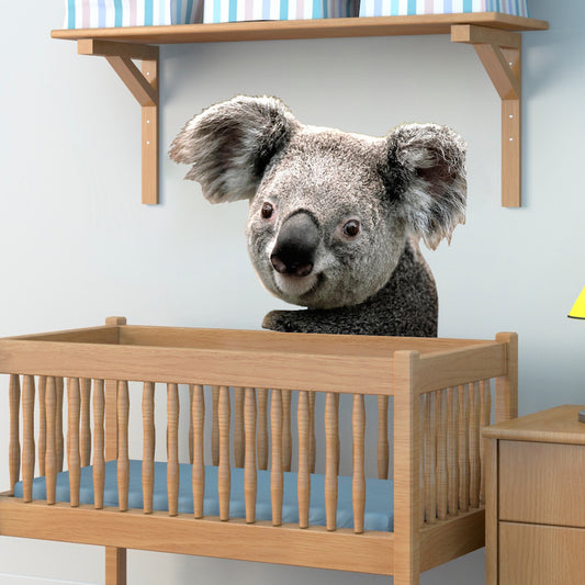Koala Wall Decal Removable Koala Decal Self Adhesive 3d Koala Bear Wall Art