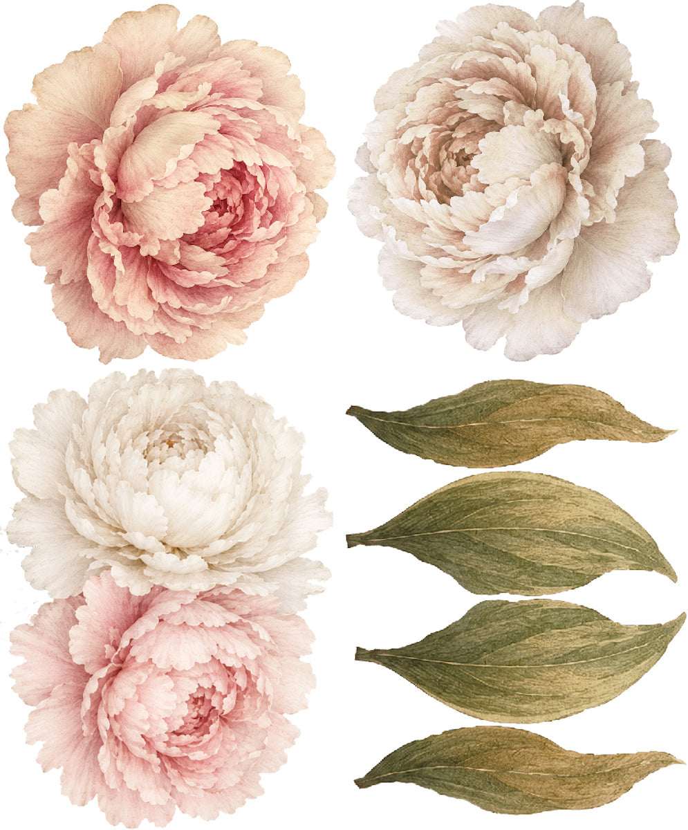 Peony Flower Wall Decal Kit | Removable Peel and Stick Floral Decor