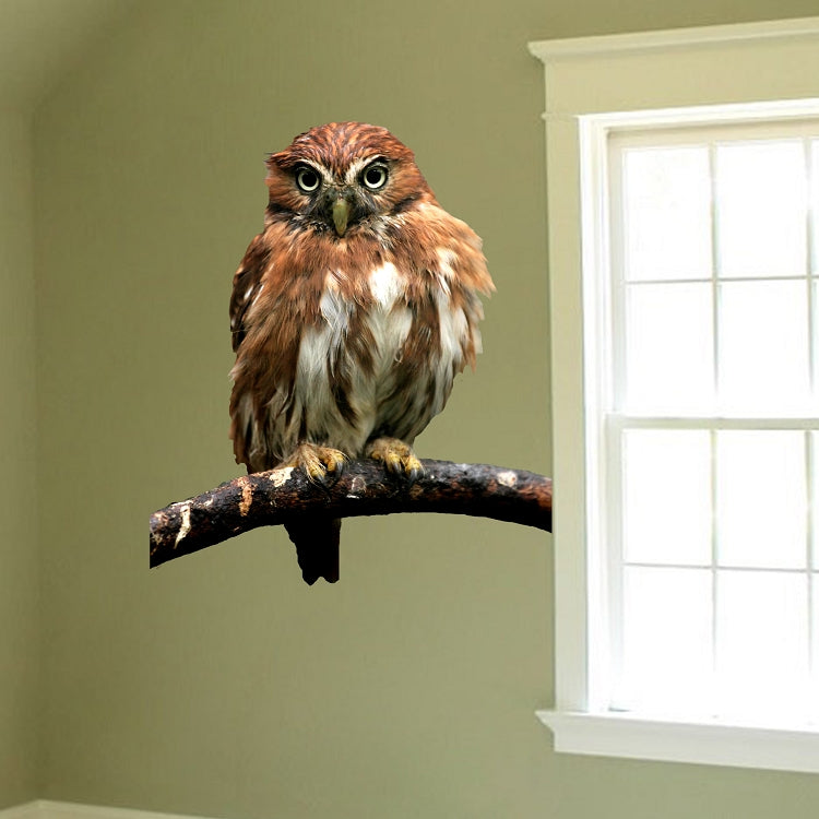 Owl Wall Decal Removable Owl Decal Self Adhesive Peel and Stick Owl, a18