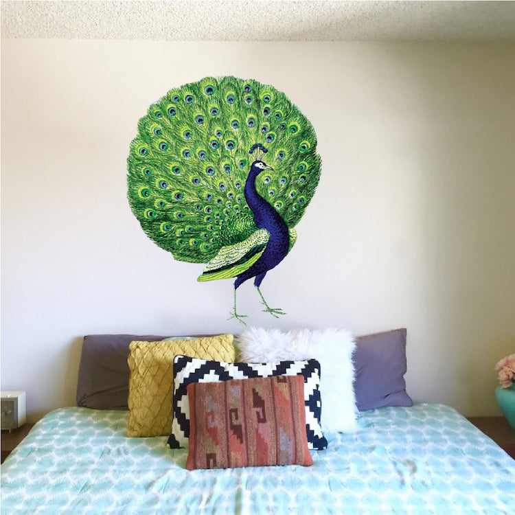 Peacock Wall Decal