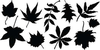 Autumn Leaves Wall and Window Decals - view 4