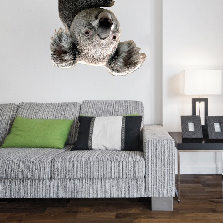 Koala Wall Decal Removable Koala Decal Self Adhesive 3d Koala Bear Wall Art, a19