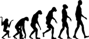 Human Evolution Wall Decal Set - view 3