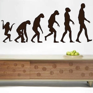 Human Evolution Wall Decal Set - view 2