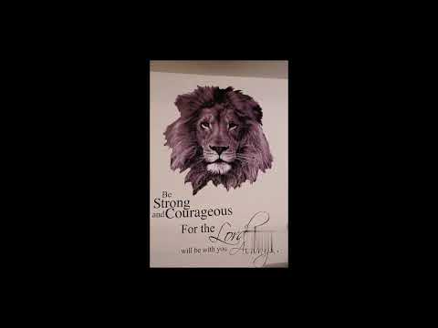 Lion Head Wall Decal — Installation Video