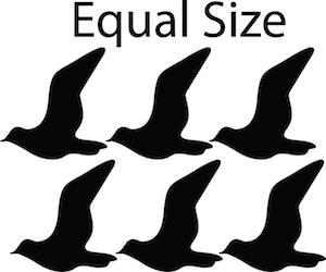 Seagull Wall Decal Set - view 4