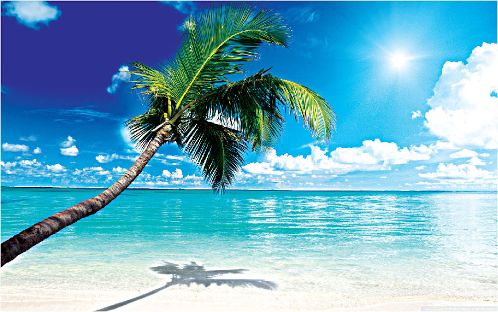 Beach Palm Tree Wall Decal Beach Decor for Apartment Bedroom Ocean Palms Wall View Mural, c68