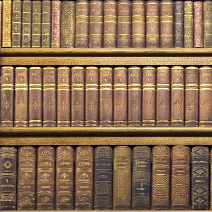 Library Wallpaper Decal Rustic Book Wallpaper Self Adhesive Wallpaper, w13