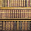 Library Wallpaper Decal Rustic Book Wallpaper Self Adhesive Wallpaper, w13