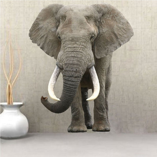 Elephant Wall Sticker Animal Wall Decor Removable Safari Wall Decal Kids Bedroom Art, c08