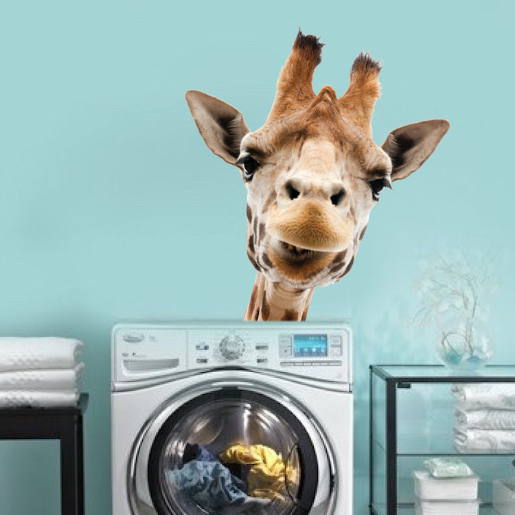 Giraffe Wall Sticker Animal Wall Decor Removable Safari Wall Decal Kids Bedroom Art, c01