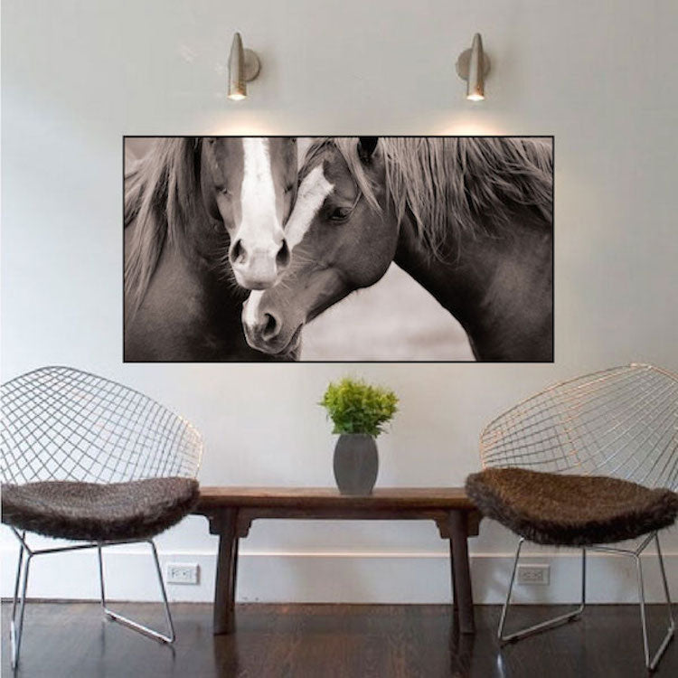 Horses Wall Decal Farm Animal Two Horse Wall Decal Mural Sticker Bedroom Apartment, c06