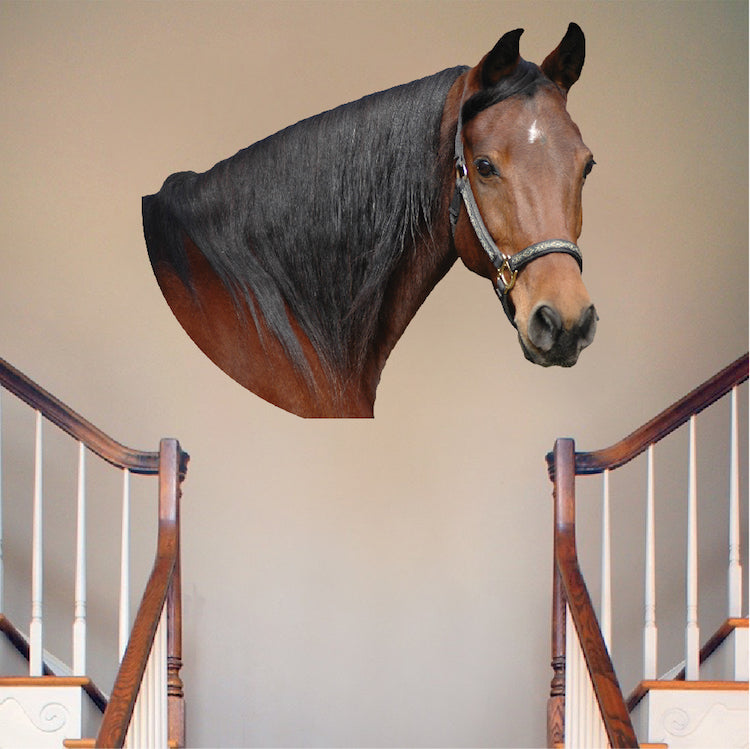 Horse Head Wall Decal Farm Animal Horse Wall Decal Mural Sticker Bedroom Apartment Wall Decal, c03