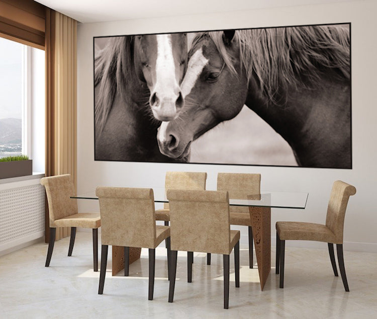 Horses Wall Decal Farm Animal Two Horse Wall Decal Mural Sticker Bedroom Apartment, c06